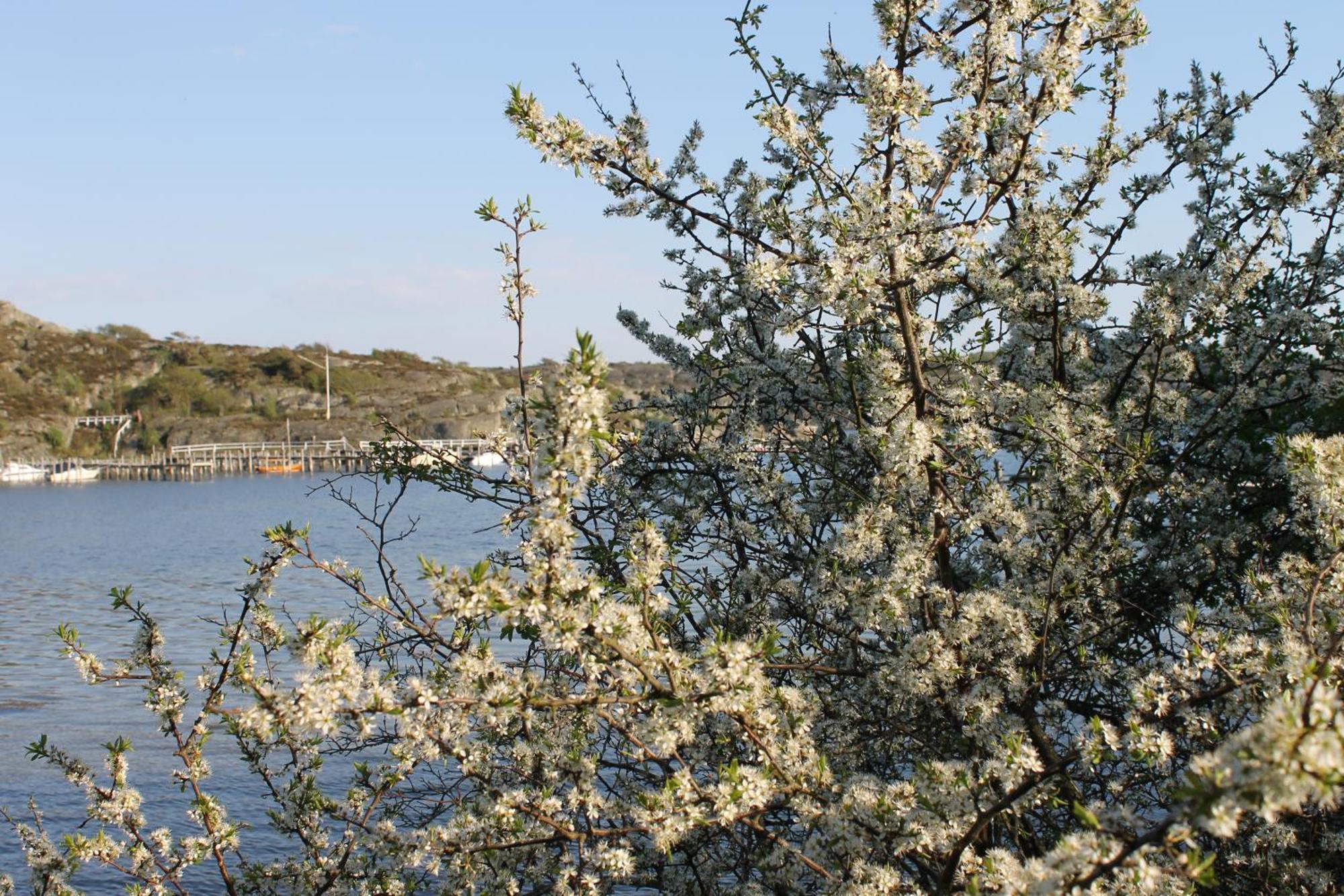 Tofta Herrgard Lycke Exterior photo